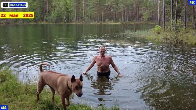 Плавание 22.05.25 (4К) #юныйпрадедбодрыйдед