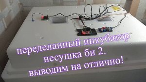 переделанный инкубатор несушка би 2. выводим на отлично!