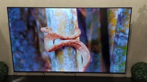Xiaomi TV A 65 2025 - ОБЗОР КАРТИНКИ