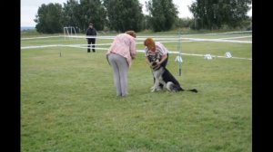 ВЕО 3