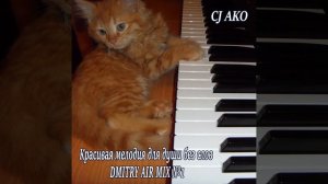 Красивая мелодия для души без слов Dmitry Air №1