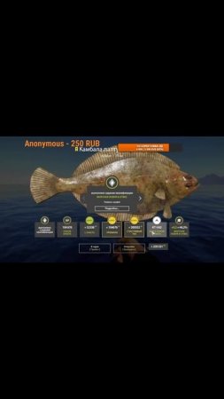 #shorts РУССКАЯ РЫБАЛКА 4 ТРОФ камбала палтусовидная #carpfishing #рыбалка #fishing
