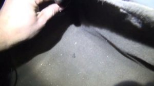 Ох эта Лада Калина...    Не заводится...  Что делать?