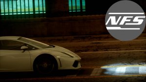 Need for Speed The Run #33