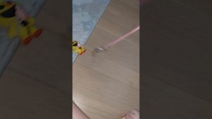 Возвращение солнца🐶🐕🦮🐕🦺