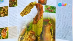 Навигатор. Новости (от 17.04.2025)