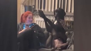 Приколы С Животными 101