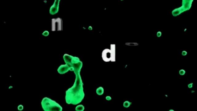 3DMax- Анимация