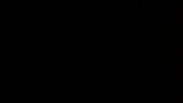 мой кот любит хип-хоп.