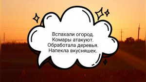 22-05-2025 Вспахали огород.Комары атакуют.Напекла вкусняшек.Обработала деревья.