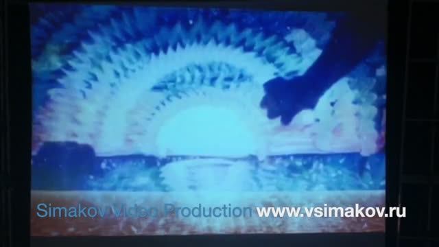 Видеонарезка мероприятия "Архстояние 2011"
