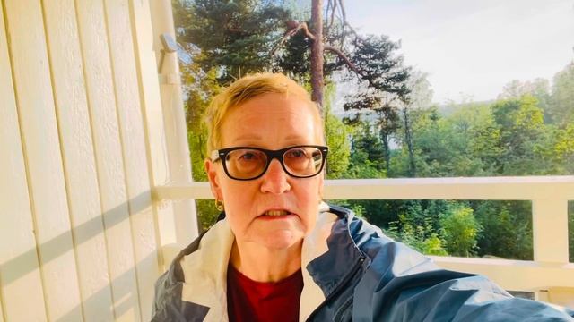 Служба защиты детей в Финляндии. Мой опыт работы в дет? смотреть онлайн