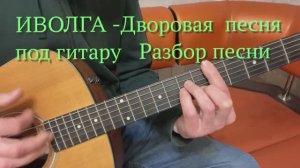 "Иволга" Дворовая песня под гитару - Александр Чесноков . Разбор песни