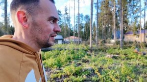Обживаю свой участок