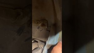 арка, подкрылок, порог Опель корса д