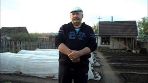 Высаживаю перцы в открытый грунт