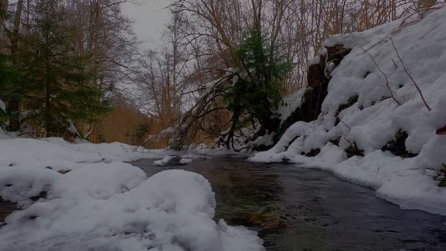 ИЗМЕНЯЮЩАЯ ЖЕНА РАССТРОЕНА, ПРИШЛОСЬ ОБНАРУЖИТЬ ЕЕ С ?