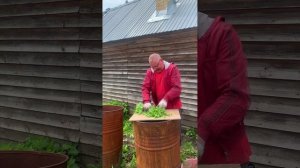 Секрет быстрого роста утят: как я кормлю их “зелёным суперфудом” 🌿🐦