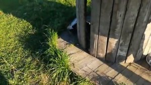 Дульная насадка (глушитель-дтк закрытого типа) bramit.ru п?