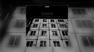 danchø - Nege (Официальная премьера)