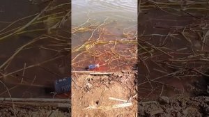 Ссылка на товар здесь: https://t.me/+DN-o8L9MWfs3MzEy