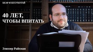 40 лет, чтобы впитать