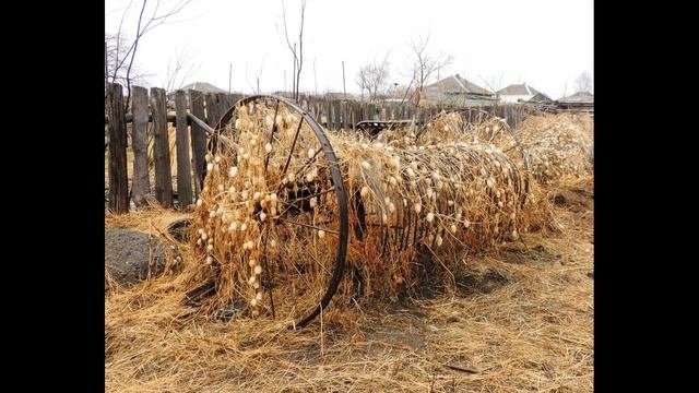 Деревня Ермолаевка. Весенняя утиная охота.