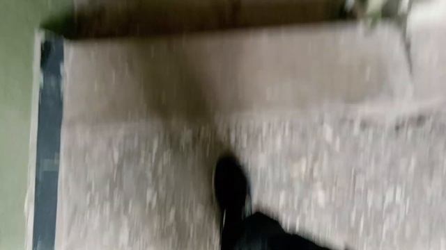 Новый дизайн Лифта ЩЛЗ 2024, 400кг, Ворошилова 39 смотреть онлайн