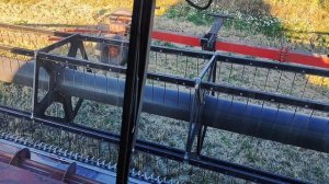 Как работает комбайн РСМ-161: Уборка ячменя в действии