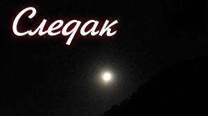 Следак 4