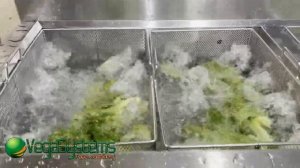 Барботажная ванна Vega WS