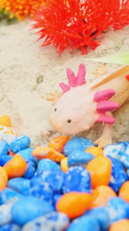 Глубоко-глубоко под водой! Весёлая игра с морскими друзьями! #игрушки #длядетей #детскиеигрушки