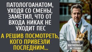 Патологоанатом уходя заметил, что от входа не уходит пес... А посмотрев, кого привезли последним…