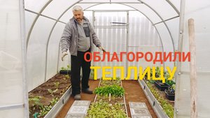 Наводим порядок в теплице