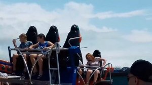 "Волшебный полёт". Аттракцион в "Сочи парке".Карусель.