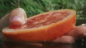 Банный комплекс "Верба": Гармония души и тела!