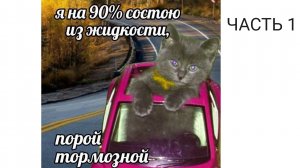 11.04.2025 Практическая работа №2 Часть 1