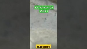 Прочистка катализатора за 5 минут. Появилась тяга, уме?