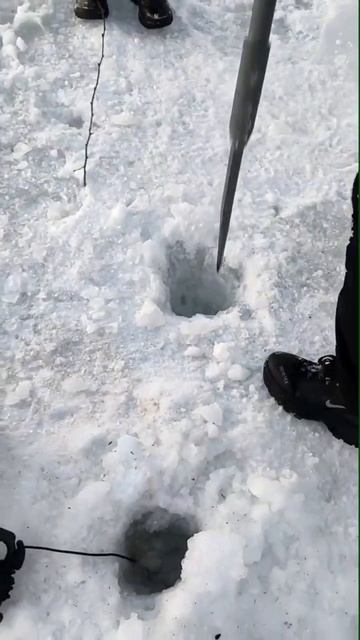 Рыбалка с подводной камерой. Лед 50см🥶💪 #рыбалка #fishin смотреть онлайн