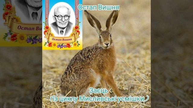 Остап Вишня. Заєць (із циклу Мисливські усмішки). Опові