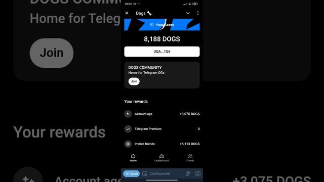 DOGS как подключить кошелёк Tonkeeper для вывода монет | DOGS coin Airdrop Telegram