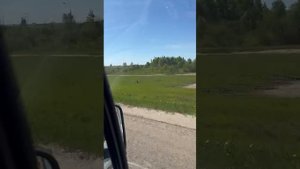 путешесвие на ГАЗЕЛИ