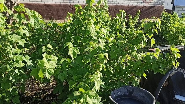 Тихое и солнечное утро после урагана