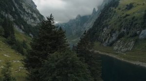 Красивый лес часть 43