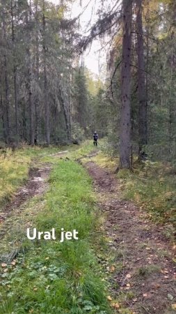 В тайге нередко кажется, что за тобой кто-то наблюдает))) Будьте   осторожны, не забывайте шуметь!