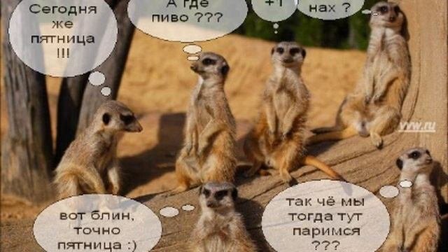 пятница, ура пятница