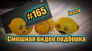 Смешная видео подборка #165