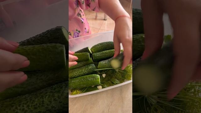 Хрустящие малосольные огурчики смотреть онлайн