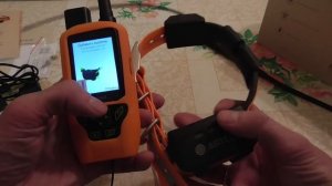 GPS ошейник Artelv Tracker для отслеживания собак. Теперь я бу?