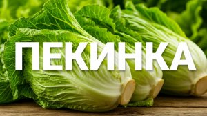 Что приготовить из пекинской капусты: 4 идеи - салат, кимчи, закуска, сэндвичи
